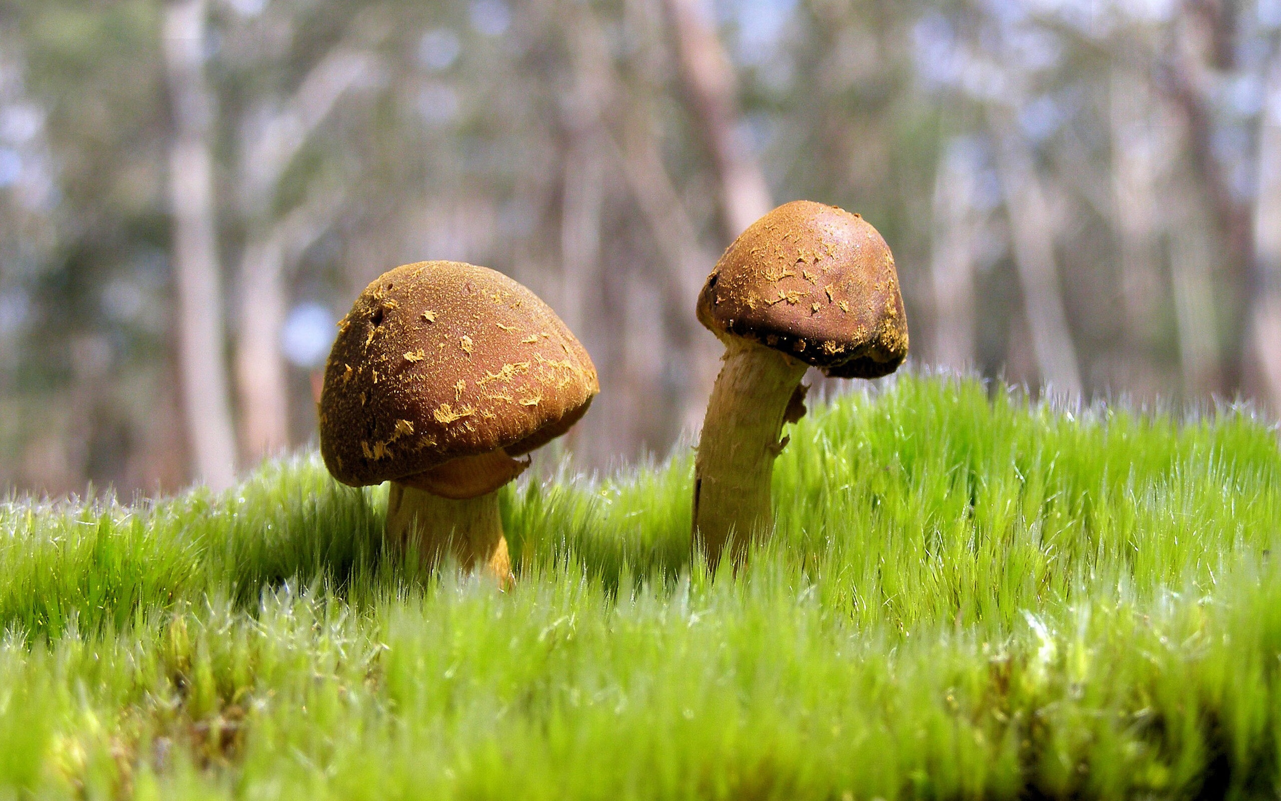 kaiyun官方网站-潜力新星：年轻球员在比赛中的爆发表现，潜力型选手