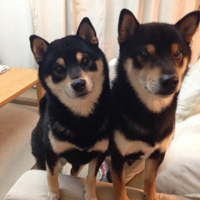 五大联赛比赛中是否更频繁出现攻防转换反打节奏，五大联赛有回避条款吗