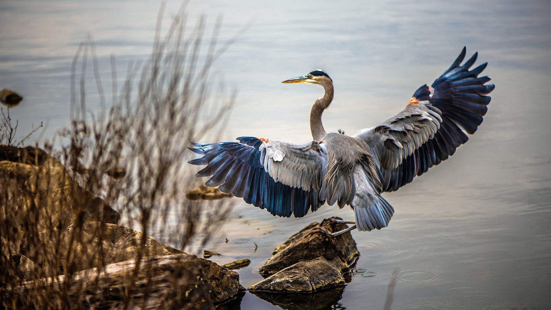 大数据精准分析支持赛事运营精细化管理,大数据比赛怎么做