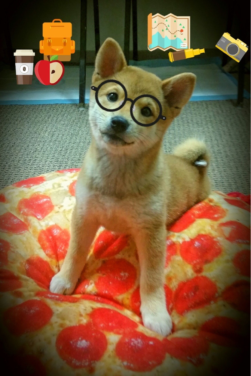 山西龙狮追求整体效率强调一体化打法，龙狮协会