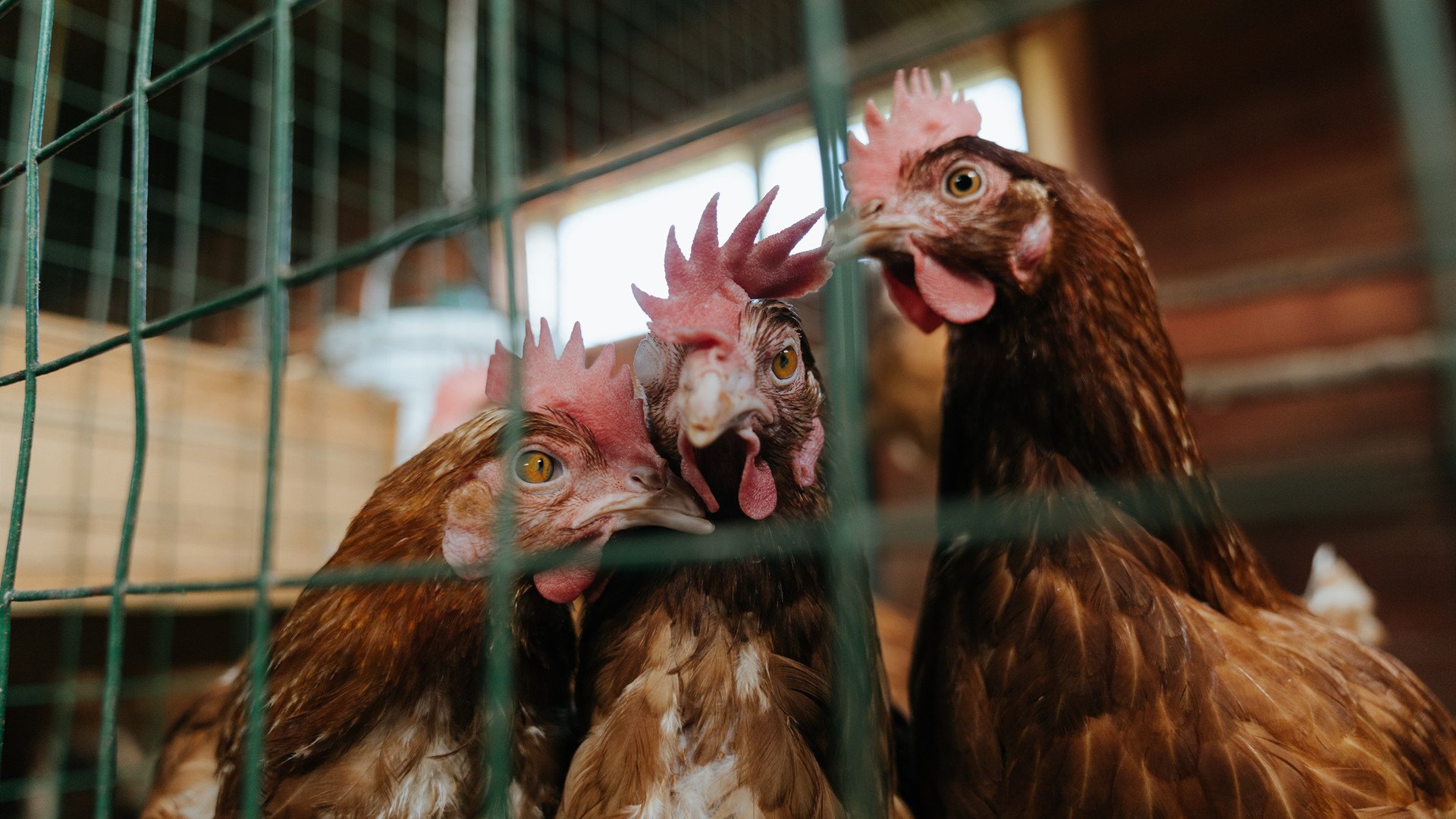 球队是否根据控球成功率调整出球节奏模板，控球节奏如何提高