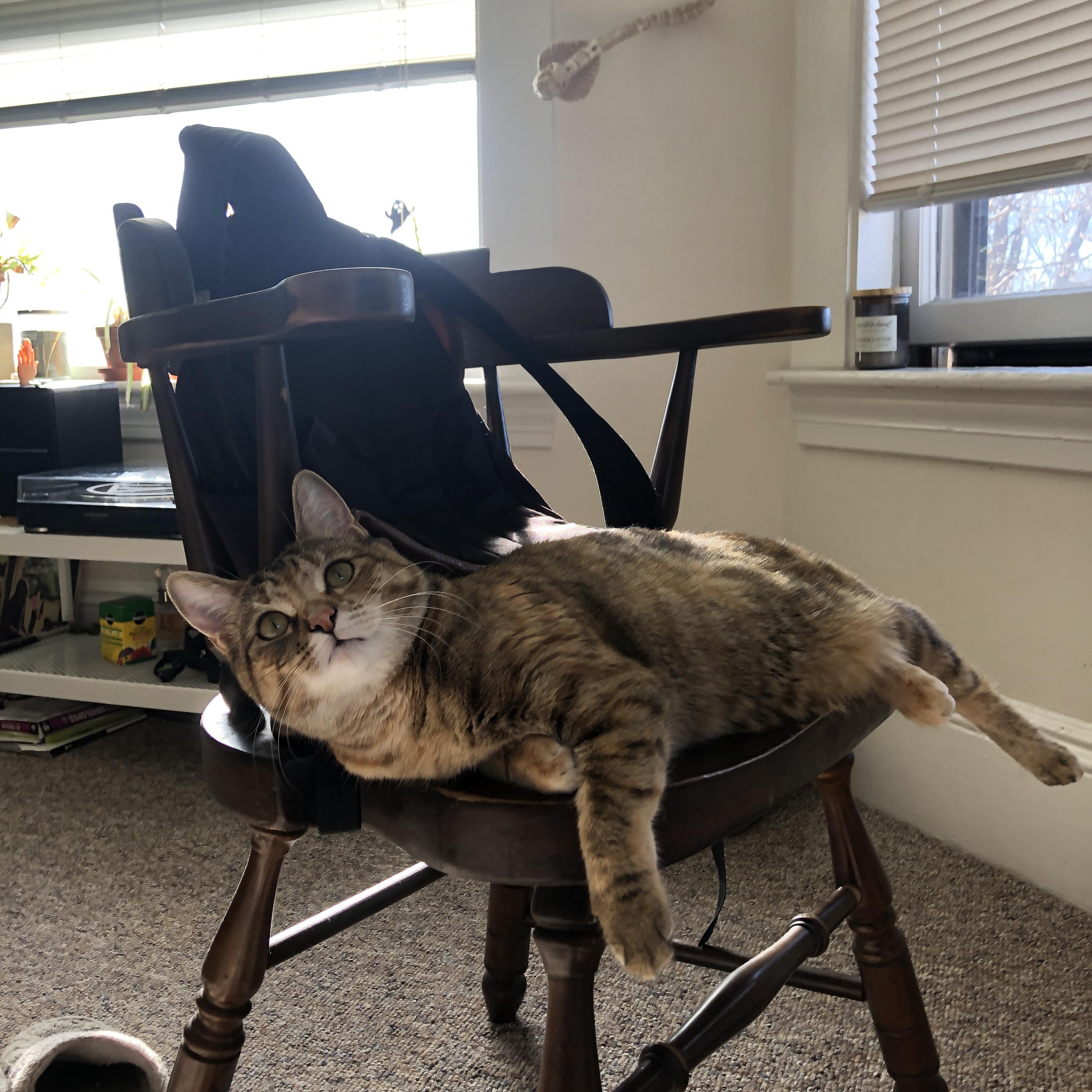 职业球员缺乏国际赛事实战经验，职业球员缺乏国际赛事实战经验的原因