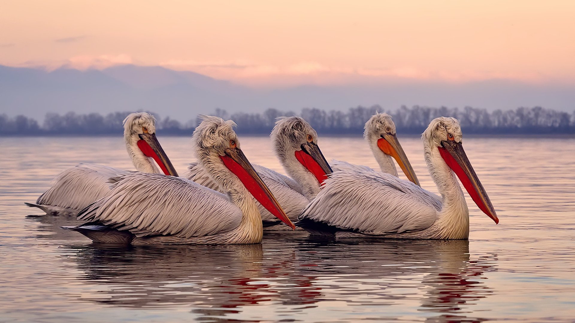 联盟最强得分手如何拆解防线，联盟第一得分手