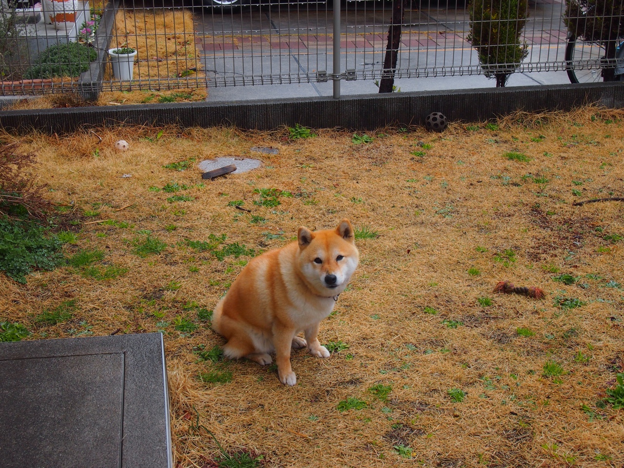 青训球员选拔常态化机制尚未建立，青训球员定义