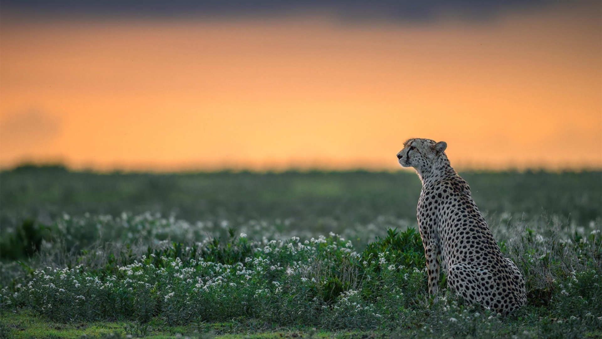 俱乐部管理层回应争议事件重申发展目标与长远规划，俱乐部管理模式