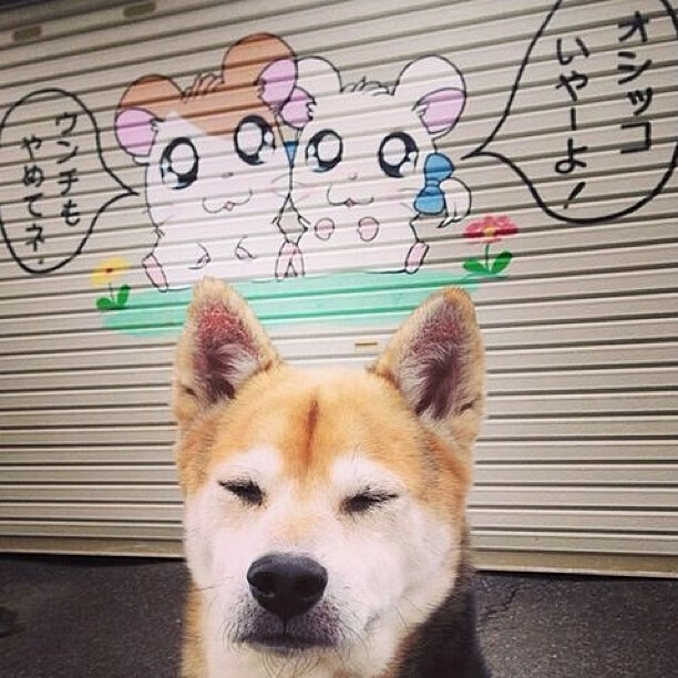 意甲极速突破：瞬间得分，惊艳全场！，意甲速度榜