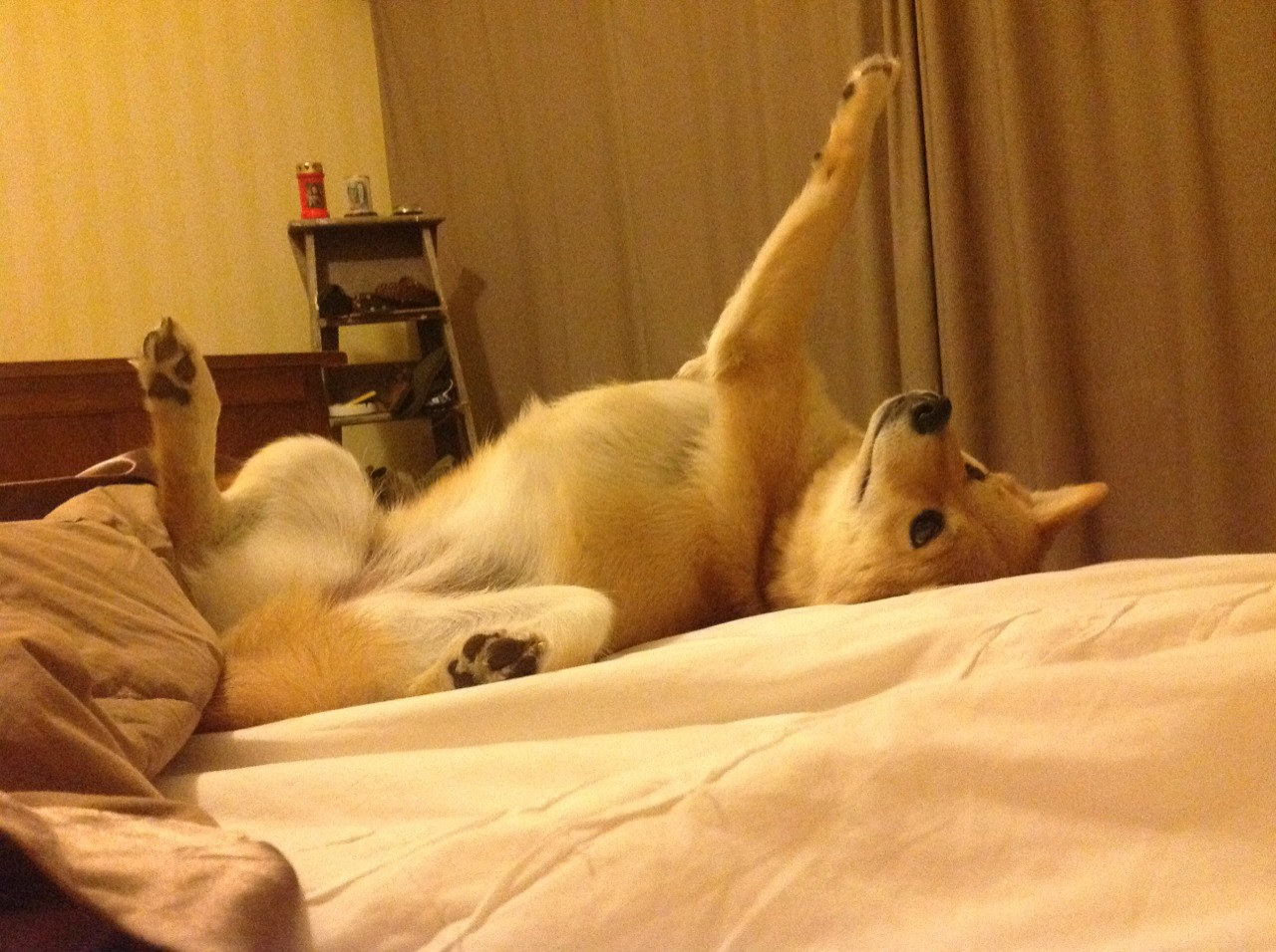 中国足球联赛观众流失原因与重回策略研究，足球赛观众最多有多少人