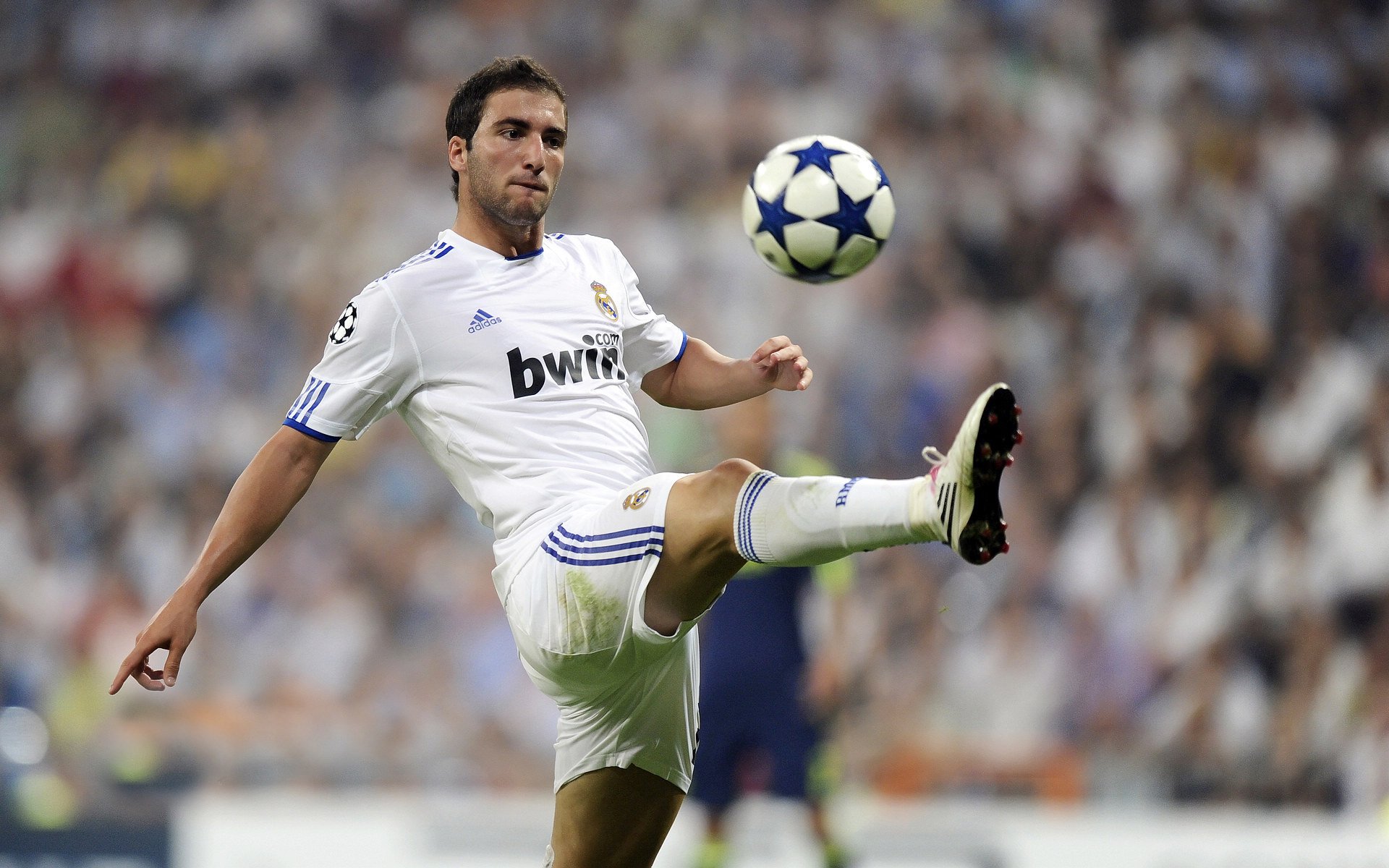 世界杯：裁判将比赛收入一部分捐给青少年项目 被球迷称为“精神富翁”